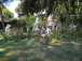  statues dans la végétation des jardins de la Villa Médicis